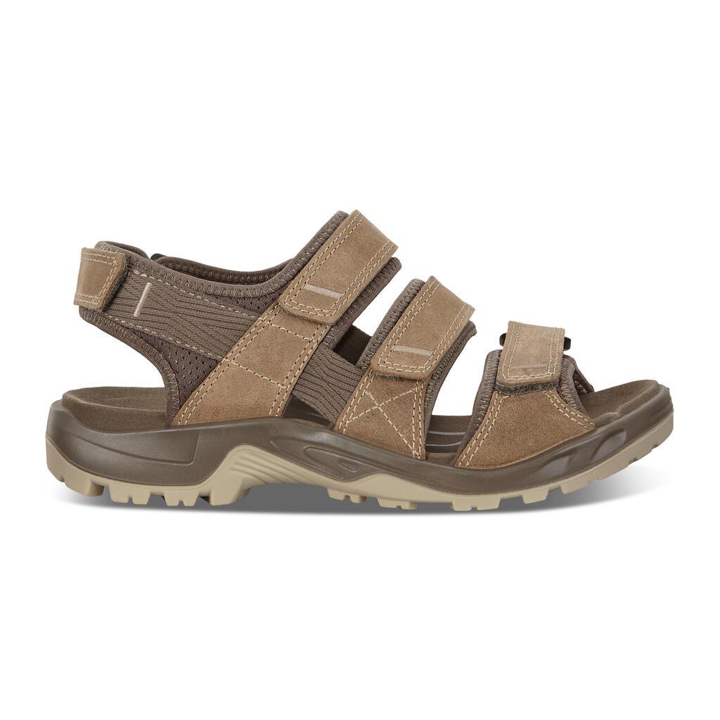 Sandales Ecco Offroad Homme Marron 6058-IHAWQ